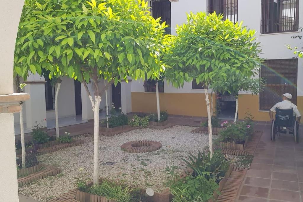 Precioso Apartamento Junto A Plaza La Corredera Кордова Экстерьер фото